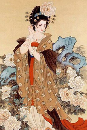 杨玉环