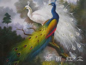 孔雀王的故事