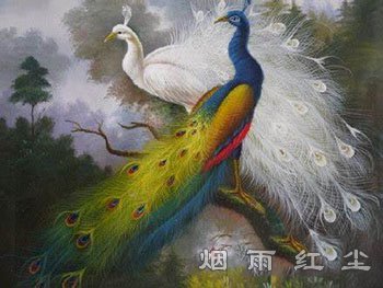 孔雀王
