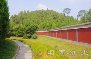 名将卫青