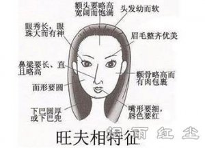 面相学