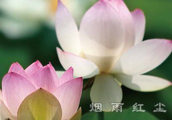 功德